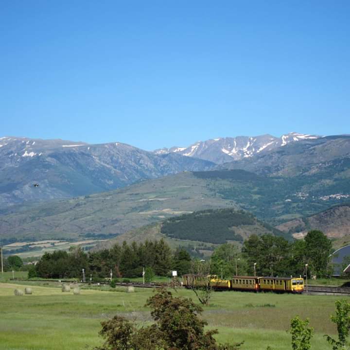 excursion train jaune